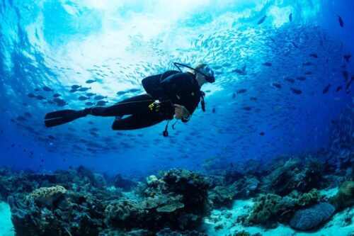 Diving Experience TripTok  – 8 Days, 7 Nights